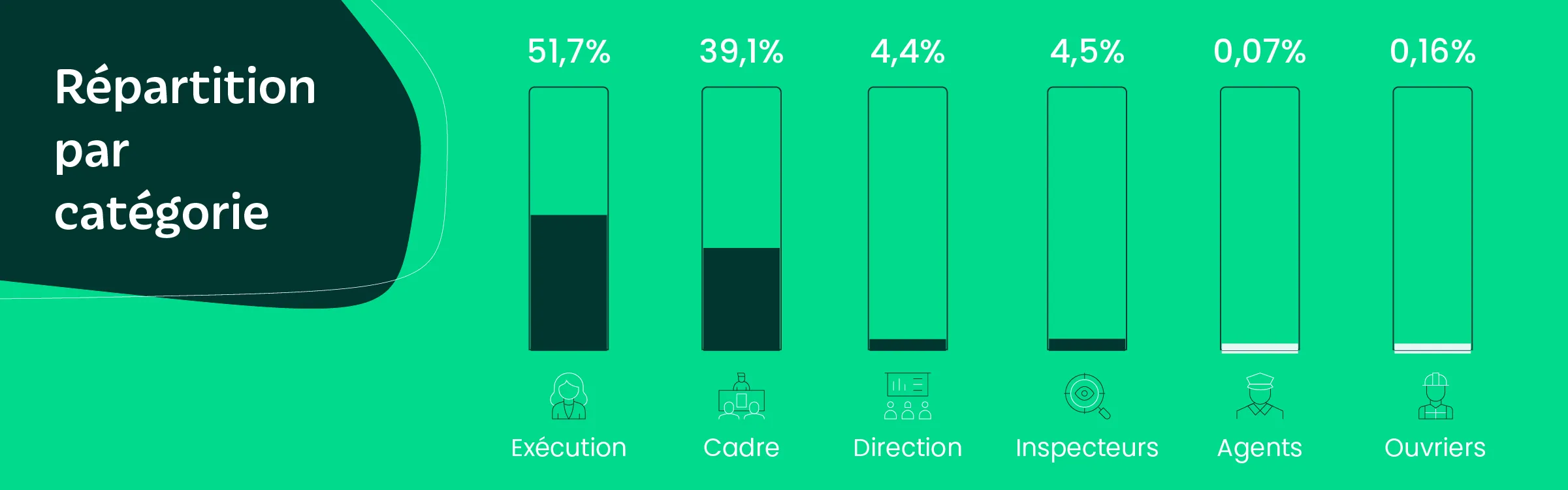 Repartition-par-categorie-de-fonction